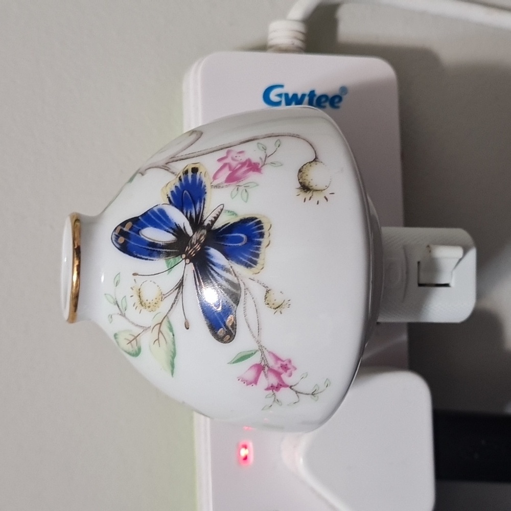 Floral Butterfly Night Light